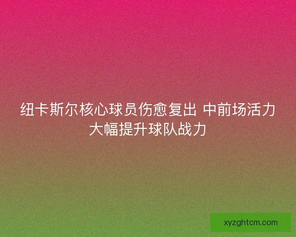 纽卡斯尔核心球员伤愈复出 中前场活力大幅提升球队战力 纽卡斯尔核心球员伤愈复出 中前场活力大幅提升球队战力