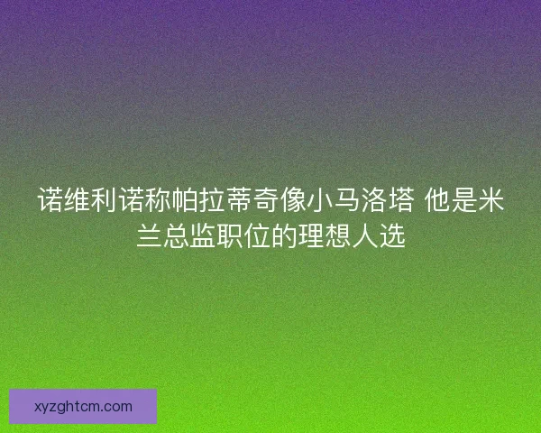 诺维利诺称帕拉蒂奇像小马洛塔 他是米兰总监职位的理想人选