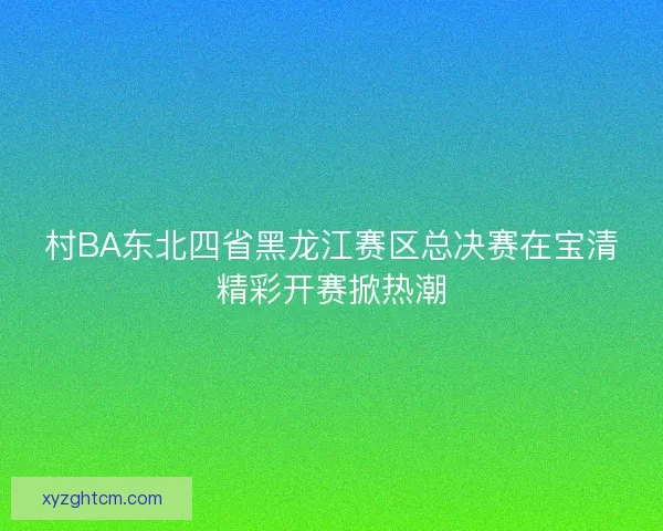 村BA东北四省黑龙江赛区总决赛在宝清精彩开赛掀热潮
