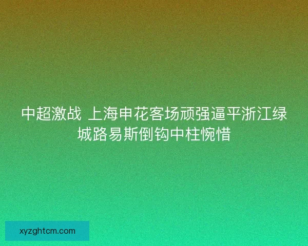 中超激战 上海申花客场顽强逼平浙江绿城路易斯倒钩中柱惋惜